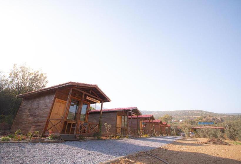 住宿加早餐  Alpstar Camping & Restaurant