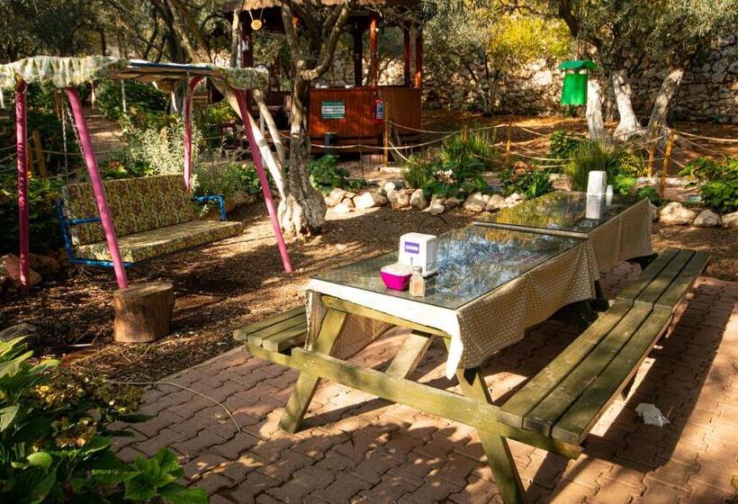 住宿加早餐  Alpstar Camping & Restaurant