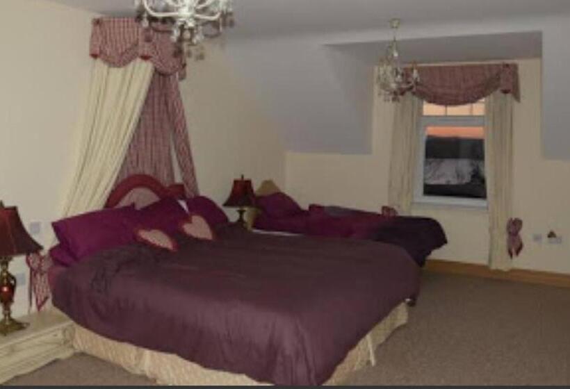 مبيت وإفطار Ballylawn Lodge