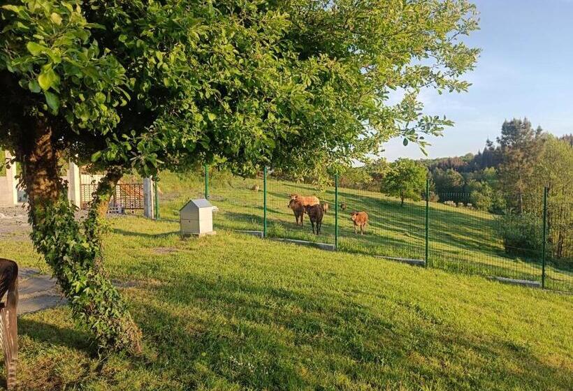 민박 Casa Isaura De Pena Camino Primitivo