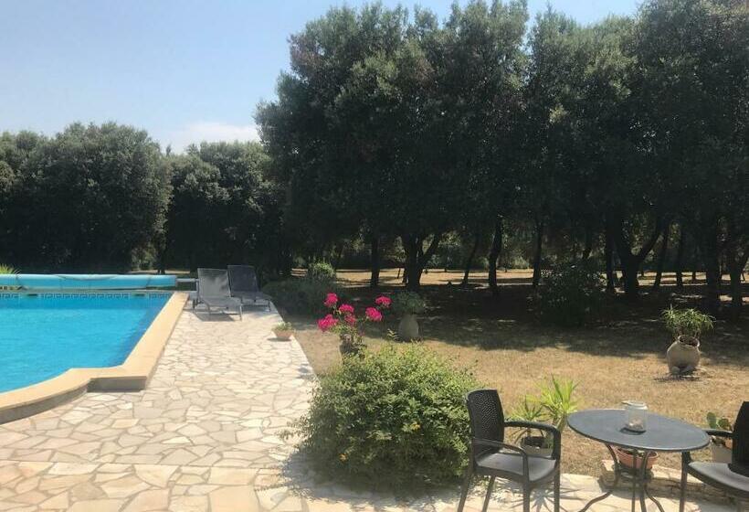 Bed and Breakfast Chambre D Hôte à La Maison Du Petit Bois 4 étoiles