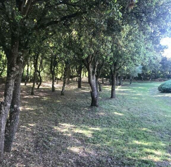 Bed and Breakfast Chambre D Hôte à La Maison Du Petit Bois 4 étoiles