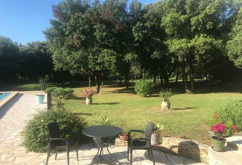 Bed and Breakfast Chambre D Hôte à La Maison Du Petit Bois 4 étoiles