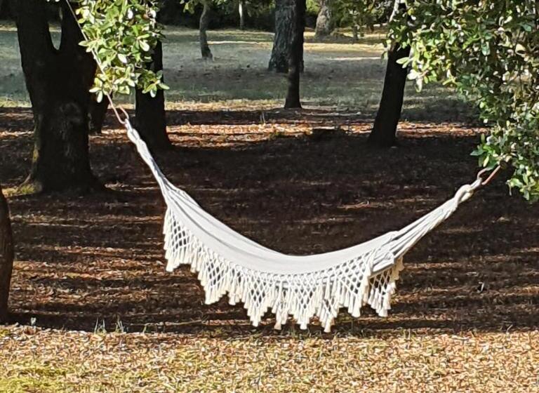 Bed and Breakfast Chambre D Hôte à La Maison Du Petit Bois 4 étoiles