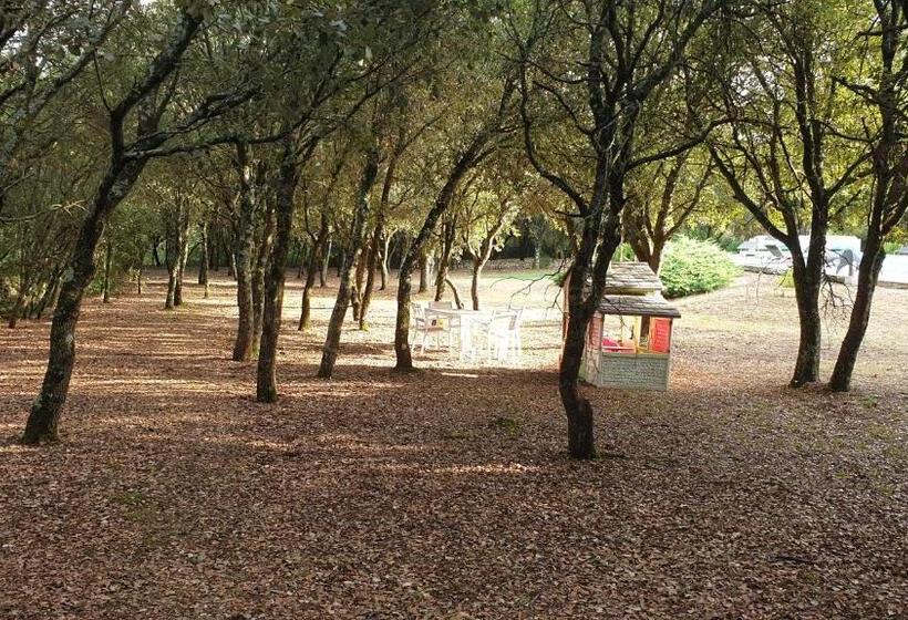 Bed and Breakfast Chambre D Hôte à La Maison Du Petit Bois 4 étoiles