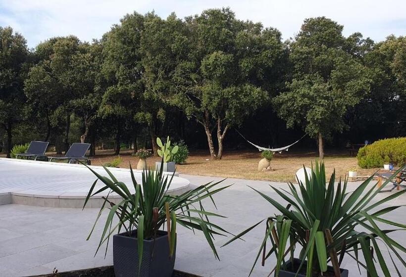 Bed and Breakfast Chambre D Hôte à La Maison Du Petit Bois 4 étoiles