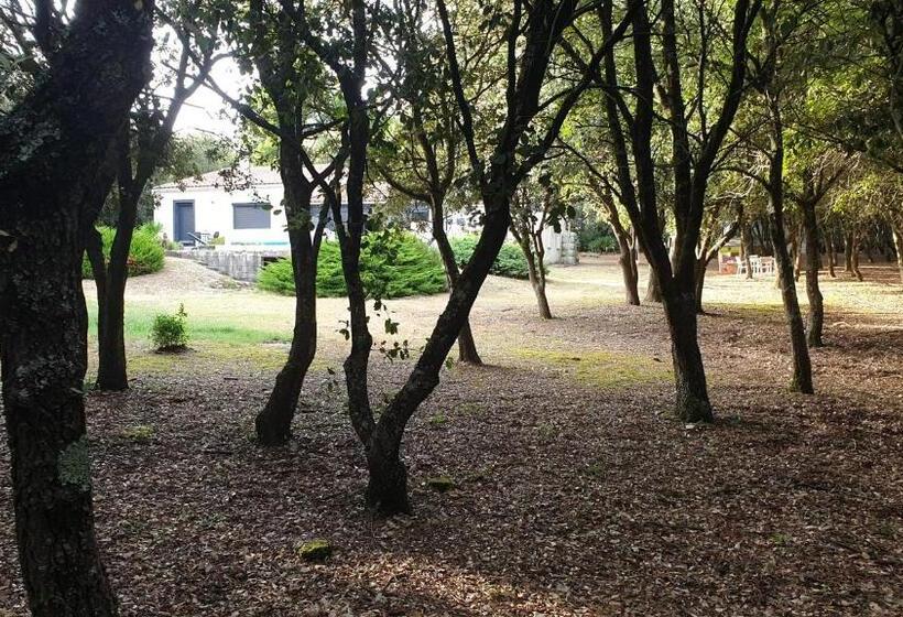 Bed and Breakfast Chambre D Hôte à La Maison Du Petit Bois 4 étoiles