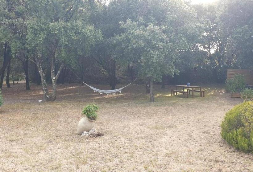 Bed and Breakfast Chambre D Hôte à La Maison Du Petit Bois 4 étoiles