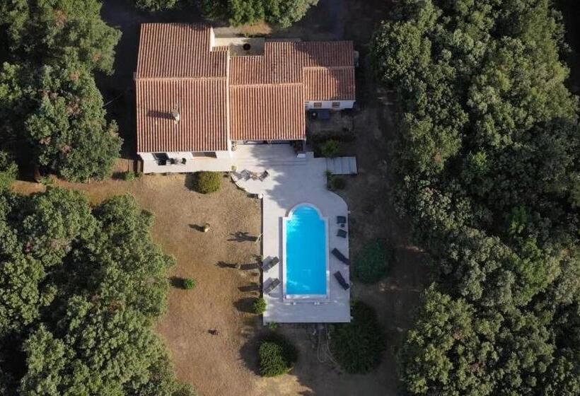 Bed and Breakfast Chambre D Hôte à La Maison Du Petit Bois 4 étoiles