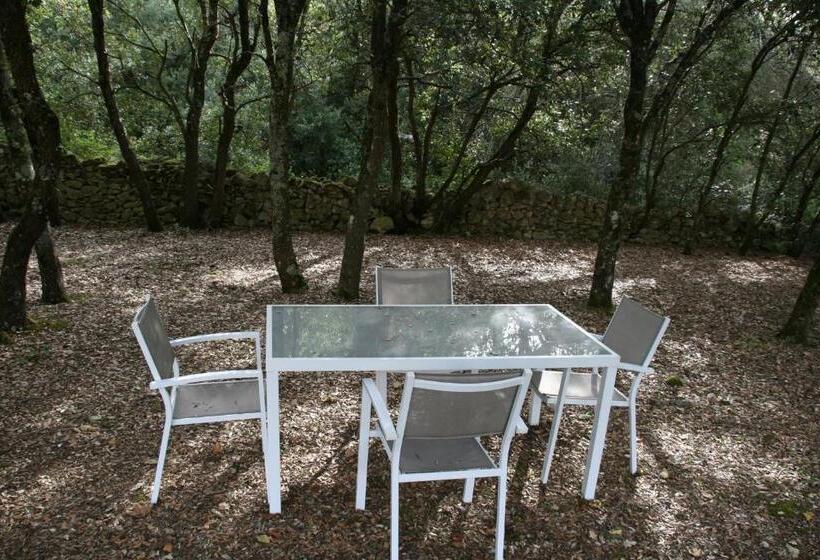 Bed and Breakfast Chambre D Hôte à La Maison Du Petit Bois 4 étoiles