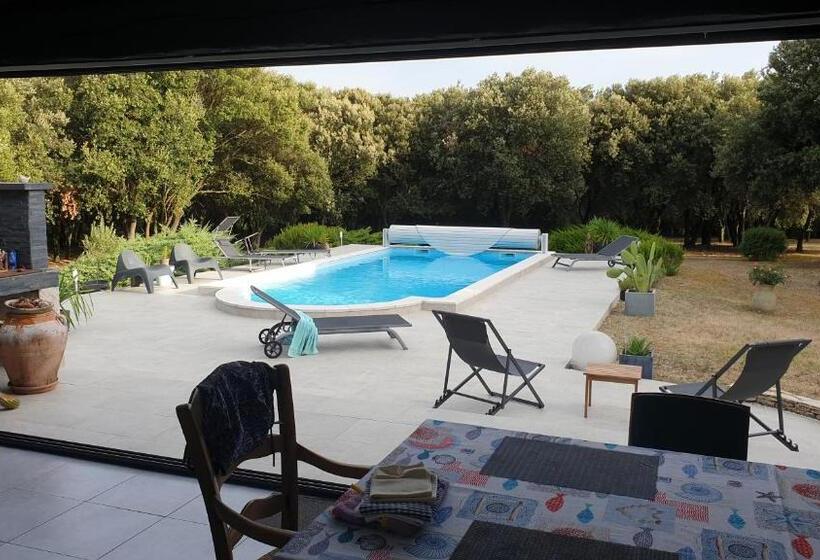 Bed and Breakfast Chambre D Hôte à La Maison Du Petit Bois 4 étoiles