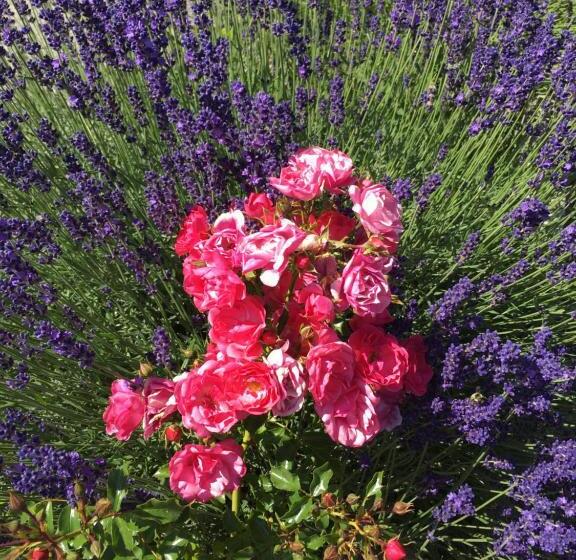 צימר Chambres D Hôtes Des Bauges Route 26 57