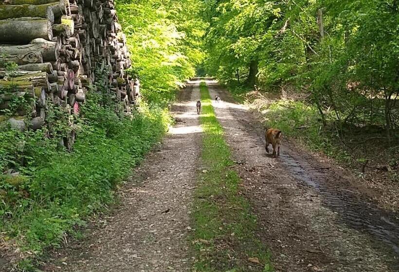 ベッドアンドブレックファースト Chambres D Hôtes Du Ranch