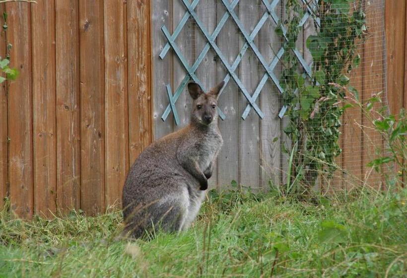 Bed and Breakfast Chambres D Hôtes Du Ranch