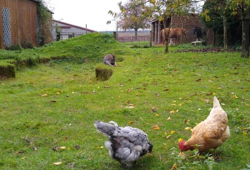 Bed and Breakfast Chambres D Hôtes Du Ranch