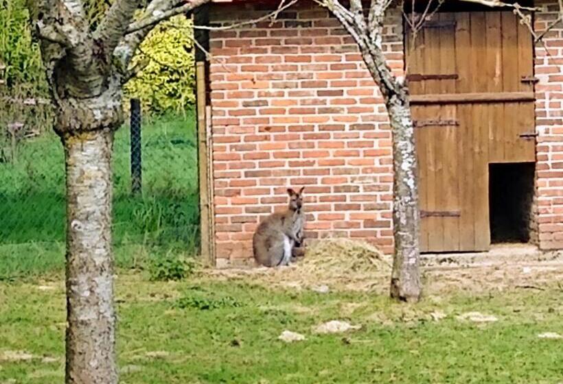 ベッドアンドブレックファースト Chambres D Hôtes Du Ranch