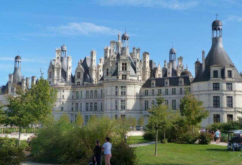 مبيت وإفطار Chambres Entre Romorantin Chambord Zoo De Beauval