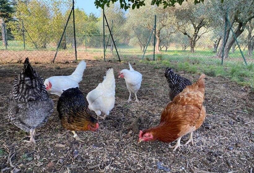 ベッドアンドブレックファースト Château Saint Pierre De Mejans