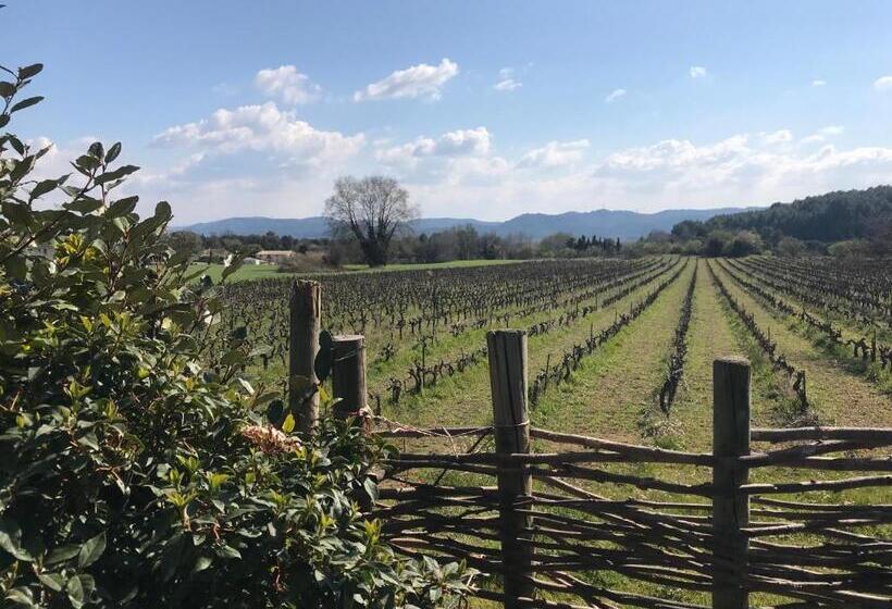 ベッドアンドブレックファースト Château Saint Pierre De Mejans