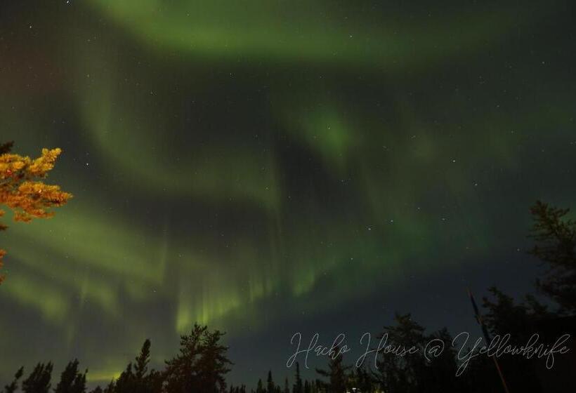 مبيت وإفطار 好丘。hacho House