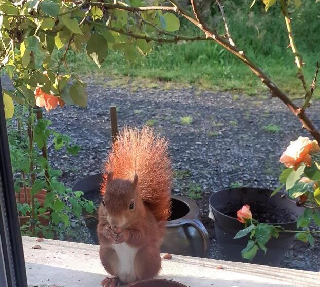مبيت وإفطار La Fermette   Chambres D Hôtes Dans Environnement Calme Et Arboré