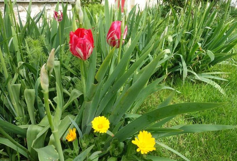 ベッドアンドブレックファースト Les épis De La Joie