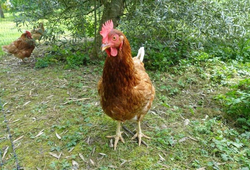 ベッドアンドブレックファースト Les épis De La Joie