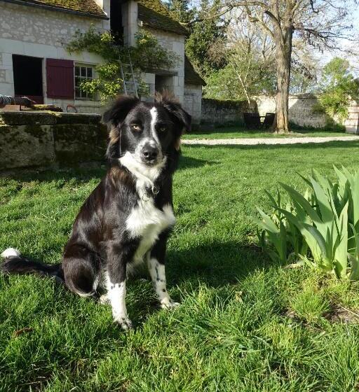 ベッドアンドブレックファースト Les épis De La Joie