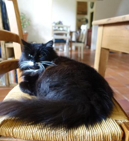 ベッドアンドブレックファースト Les épis De La Joie