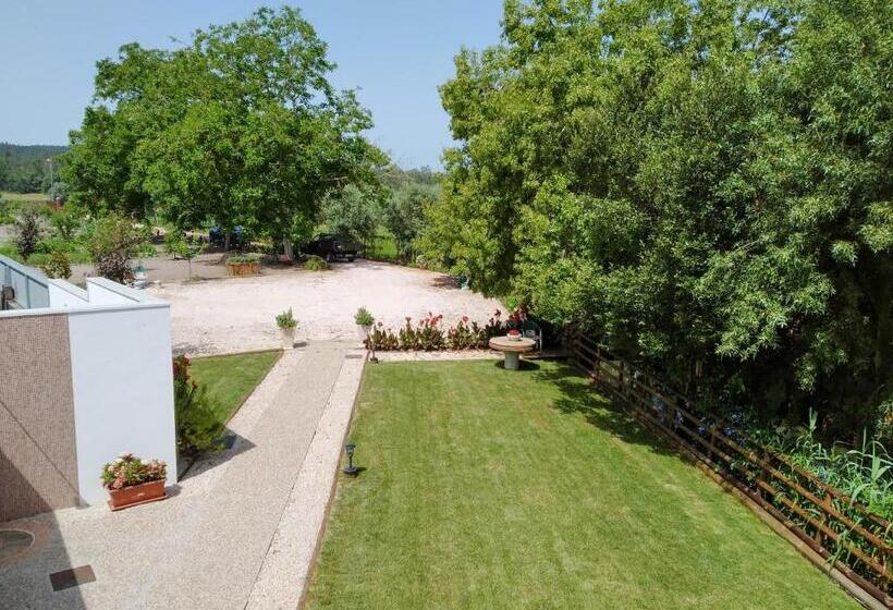 ベッドアンドブレックファースト Moinho Real