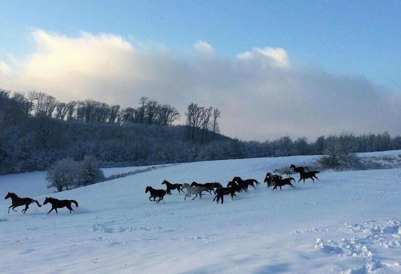 مبيت وإفطار Rácz Tanya és Panzió