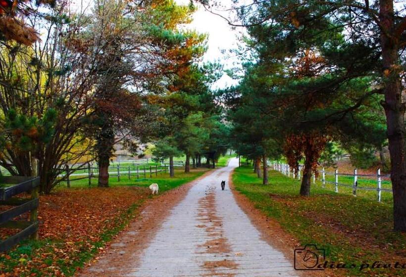 مبيت وإفطار Rácz Tanya és Panzió