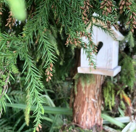 צימר Westholm Lodge