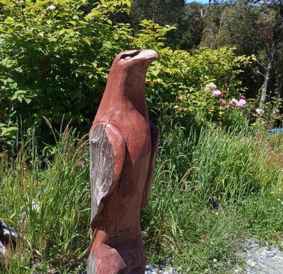 Cabañas Cauchao Chaitén