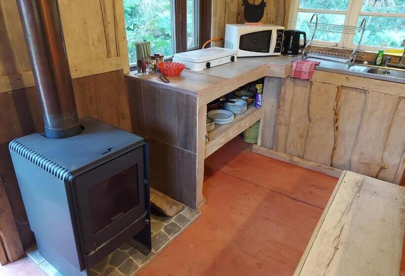 Cabañas Cauchao Chaitén