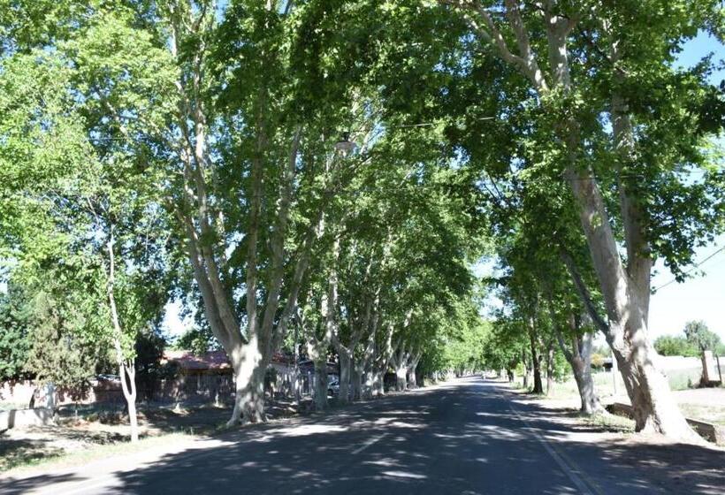 Complejo Los Platanos