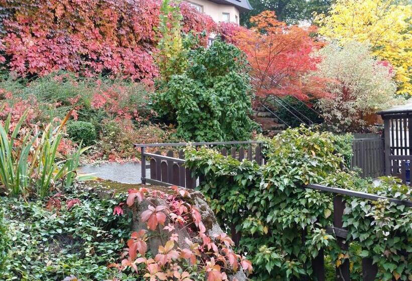 Holiday Apartments Vítězná 1256/36