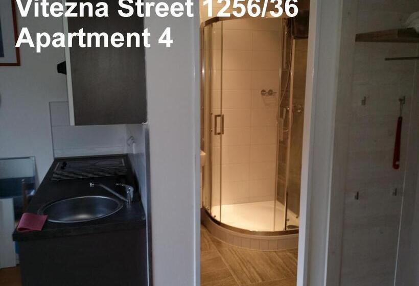 Holiday Apartments Vítězná 1256/36