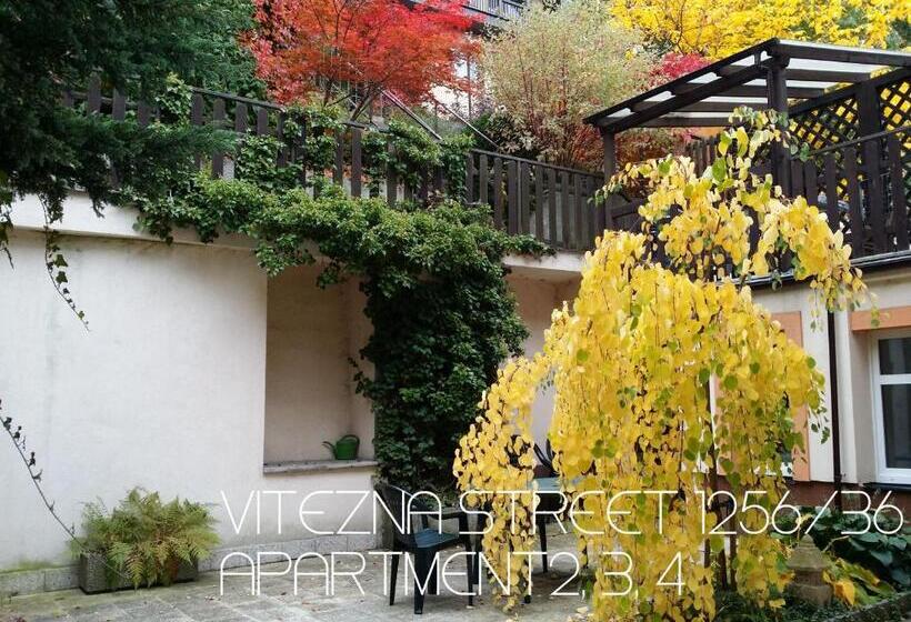 Holiday Apartments Vítězná 1256/36