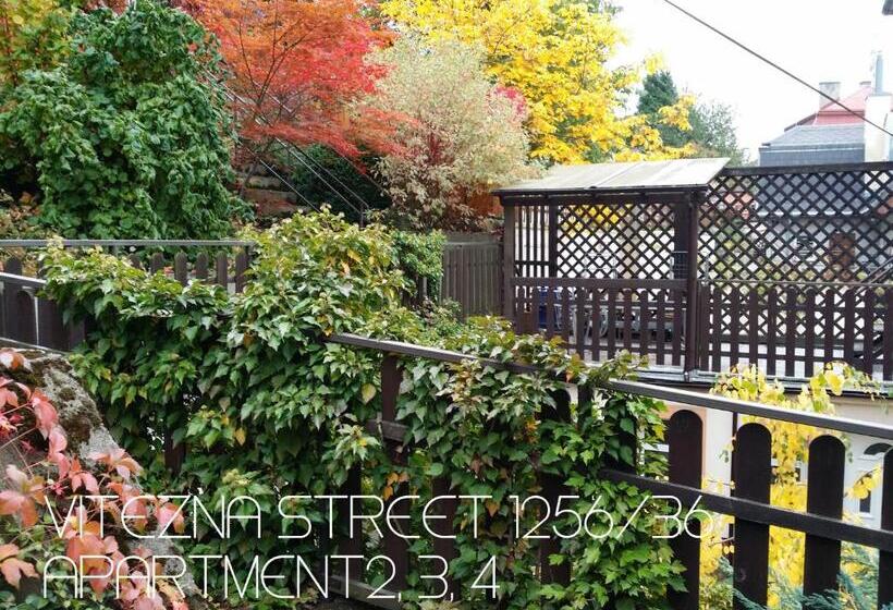 Holiday Apartments Vítězná 1256/36