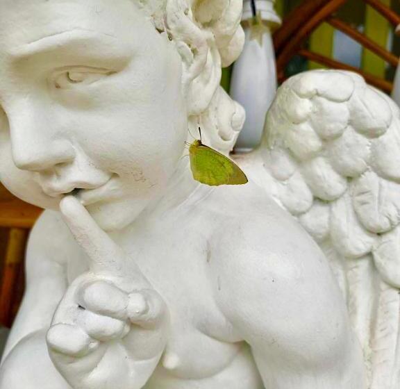 Hotell เซน บัลโคนี่ เฮ้าส์ ระนอง