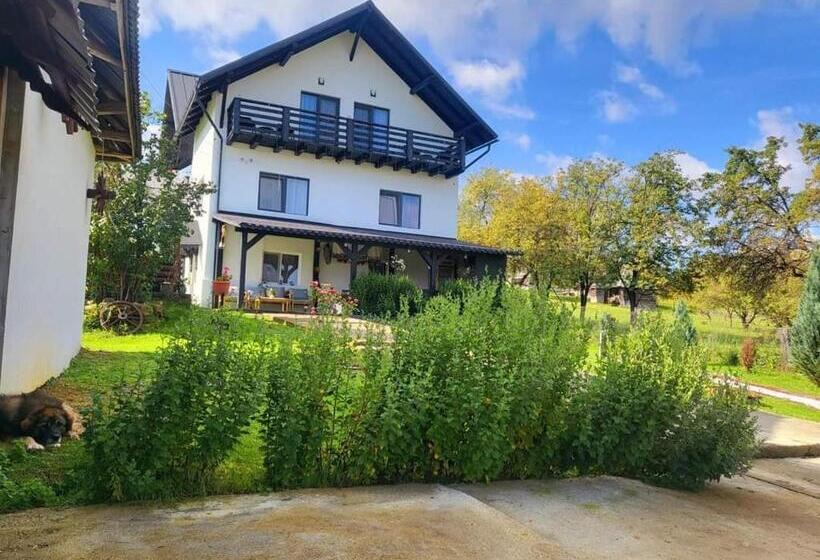 Отель Agropensiunea Pe Poderei