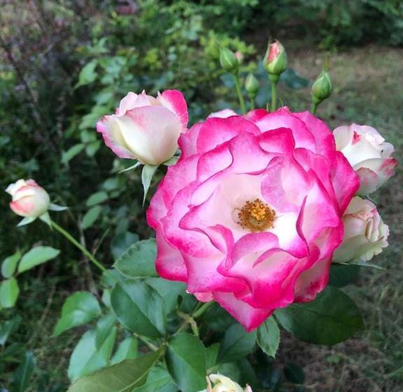 Отель Agroturystyka Czekaj