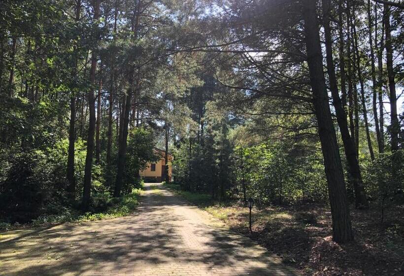 Отель Agroturystyka Czekaj