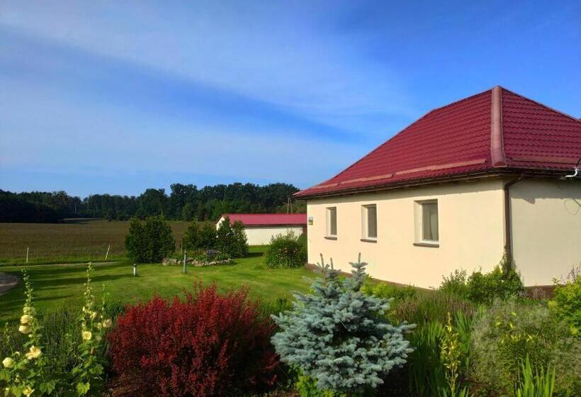 בית מלון כפרי Agroturystyka Leśny Dworek