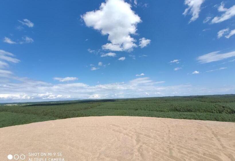 בית מלון כפרי Agroturystyka Leśny Dworek