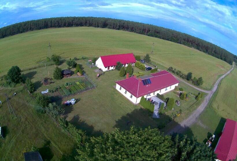 בית מלון כפרי Agroturystyka Leśny Dworek