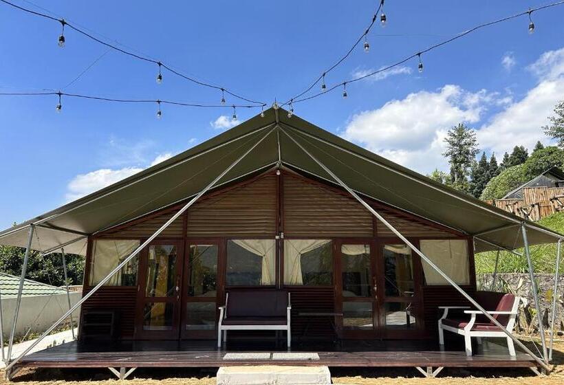 Отель Alinson Sunset Hill