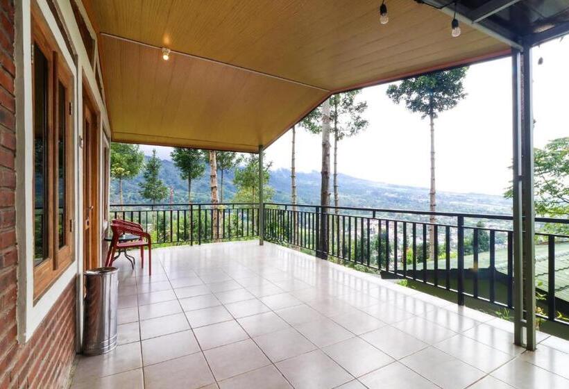 Отель Alinson Sunset Hill