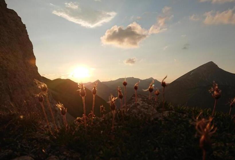 호텔 Bergbauernhof Pabulariu